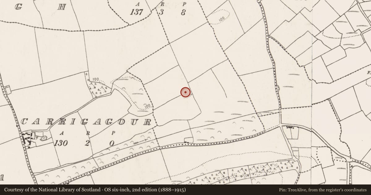 Ordnance Survey six-inch map, 2nd edition (1888–1915) covering the location of Ringfort - rath, Tead More, County Cork, with a pin at the register's coordinates
