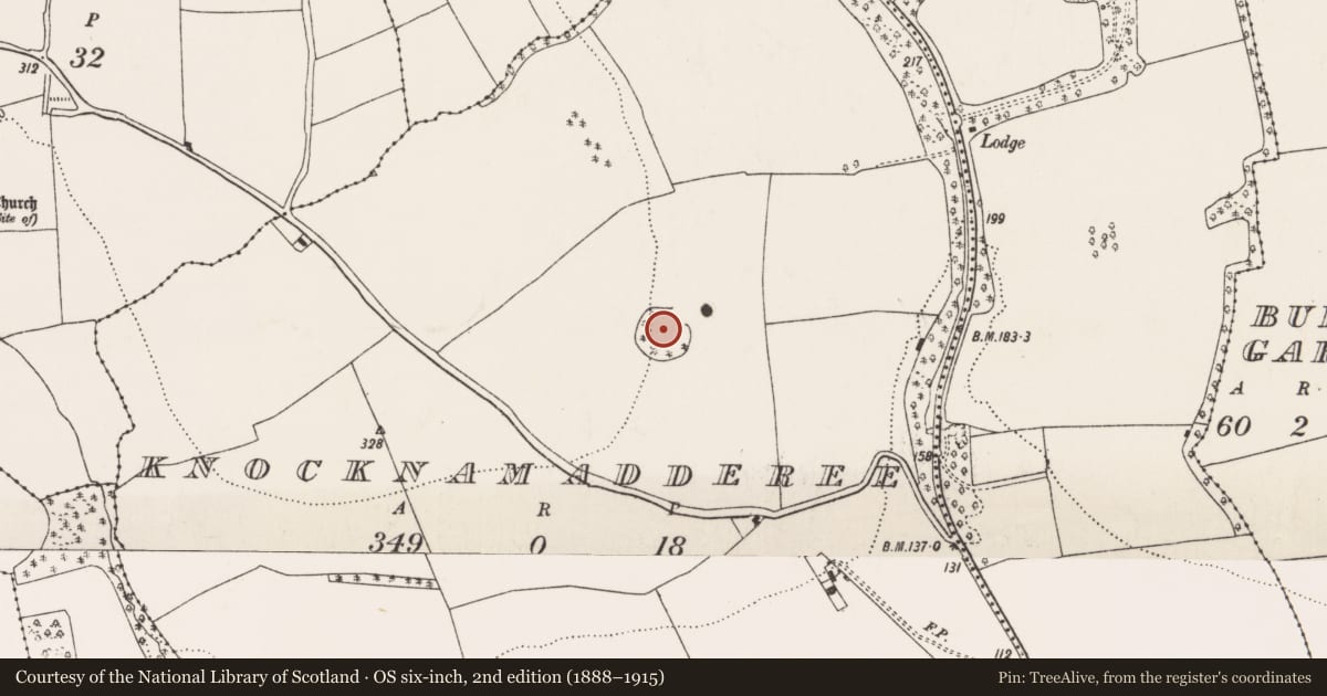 Ordnance Survey six-inch map, 2nd edition (1888–1915) covering the location of Designed landscape - tree-ring, Knocknamadderee, County Cork, with a pin at the register's coordinates