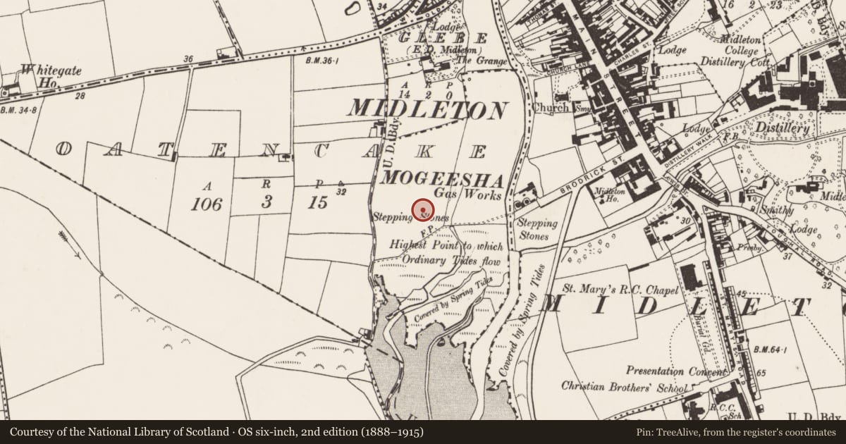 Ordnance Survey six-inch map, 2nd edition (1888–1915) covering the location of Pit-burial, Oatencake, County Cork, with a pin at the register's coordinates