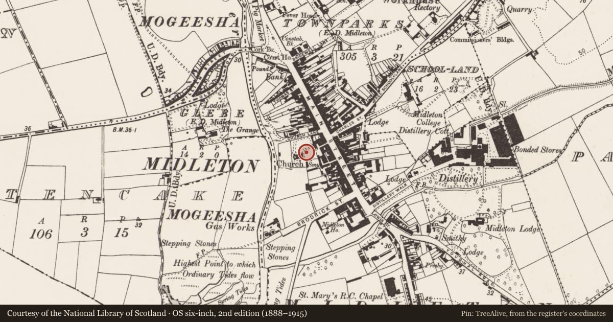 Ordnance Survey six-inch map, 2nd edition (1888–1915) covering the location of Graveyard, Townparks (Imokilly By., Middleton Par.), County Cork, with a pin at the register's coordinates