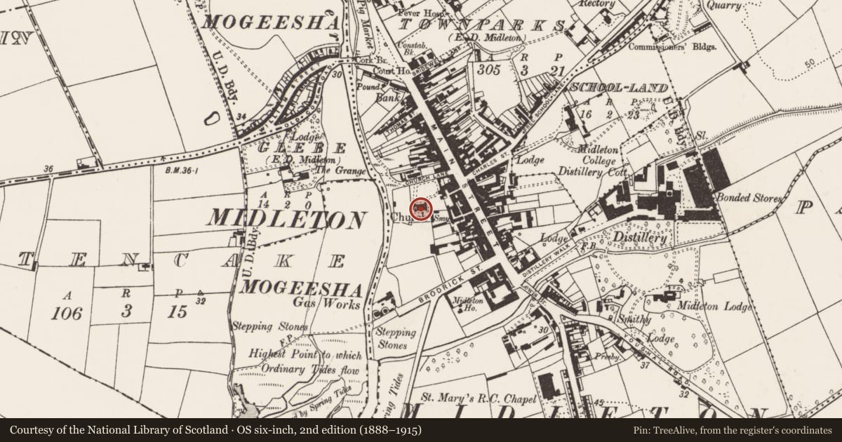 Ordnance Survey six-inch map, 2nd edition (1888–1915) covering the location of Church, Townparks (Imokilly By., Middleton Par.), County Cork, with a pin at the register's coordinates
