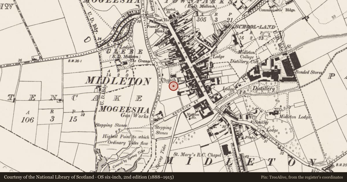 Ordnance Survey six-inch map, 2nd edition (1888–1915) covering the location of Religious house - Cistercian monks, Townparks (Imokilly By., Middleton Par.), County Cork, with a pin at the register's coordinates