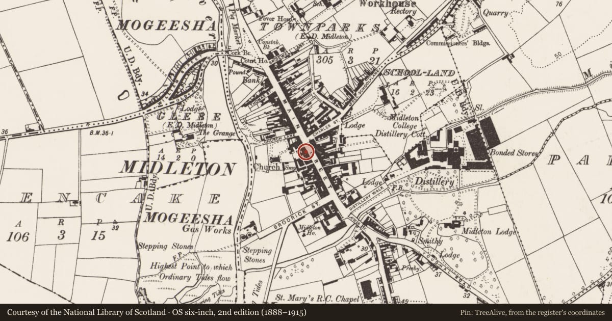 Ordnance Survey six-inch map, 2nd edition (1888–1915) covering the location of Market-house, Townparks (Imokilly By., Middleton Par.), County Cork, with a pin at the register's coordinates