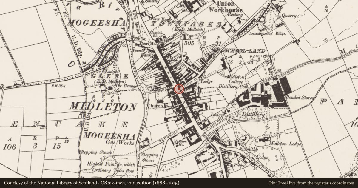 Ordnance Survey six-inch map, 2nd edition (1888–1915) covering the location of Historic town, Townparks (Imokilly By., Middleton Par.), County Cork, with a pin at the register's coordinates