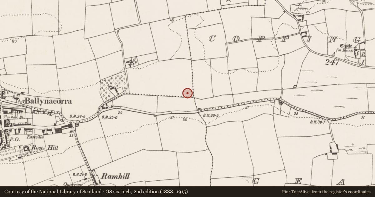 Ordnance Survey six-inch map, 2nd edition (1888–1915) covering the location of Fulacht fia, Castleredmond, County Cork, with a pin at the register's coordinates