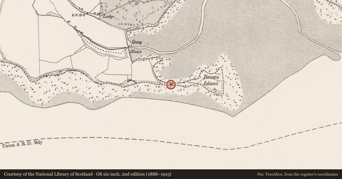 Ordnance Survey six-inch map, 2nd edition (1888–1915) covering the location of Midden, Ballintubbrid West, County Cork, with a pin at the register's coordinates