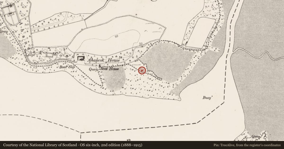 Ordnance Survey six-inch map, 2nd edition (1888–1915) covering the location of Midden, Ballyvodock East, County Cork, with a pin at the register's coordinates
