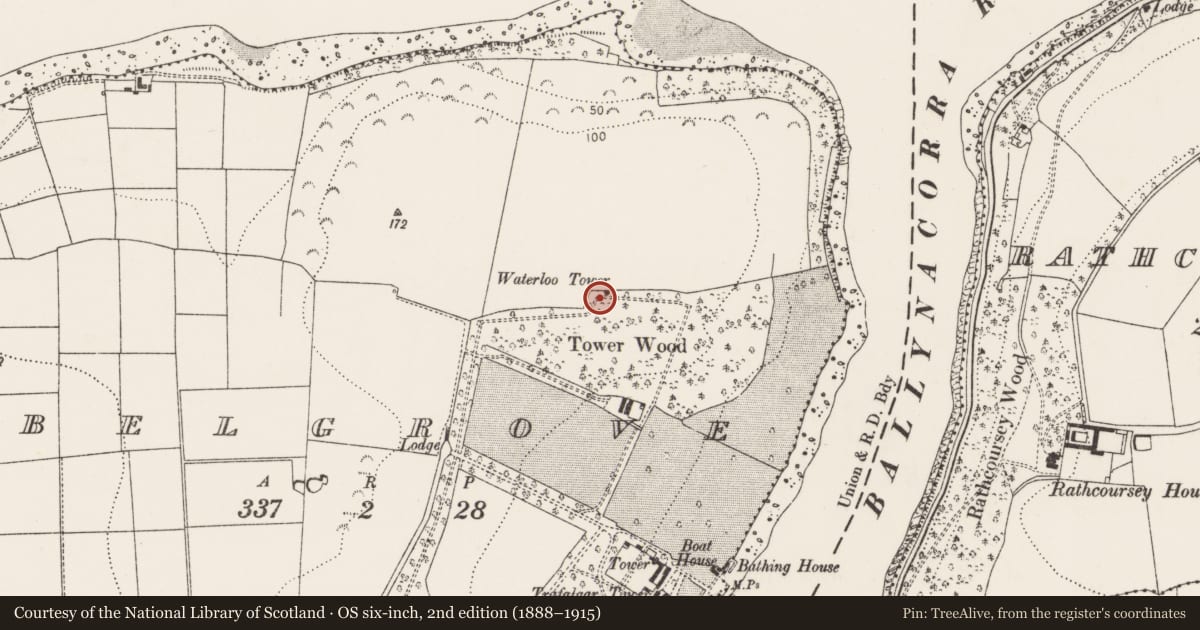 Ordnance Survey six-inch map, 2nd edition (1888–1915) covering the location of Designed landscape - belvedere, Belgrove, County Cork, with a pin at the register's coordinates
