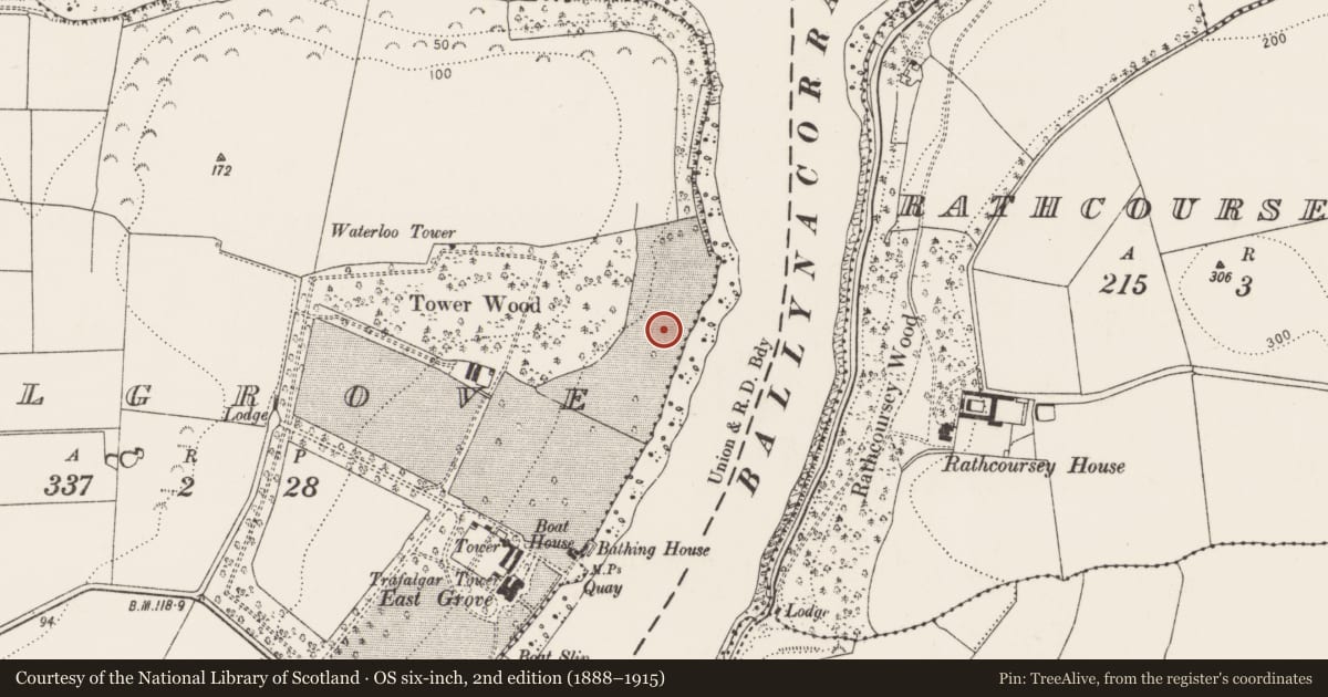 Ordnance Survey six-inch map, 2nd edition (1888–1915) covering the location of Castle - unclassified, Belgrove, County Cork, with a pin at the register's coordinates