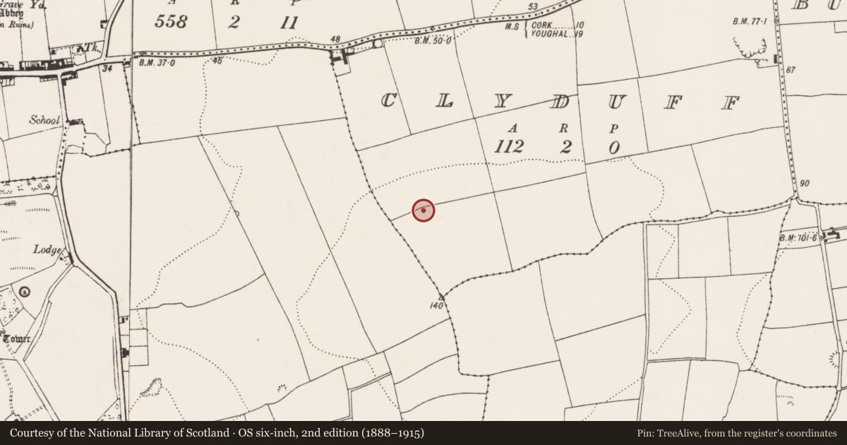Ordnance Survey six-inch map, 2nd edition (1888–1915) covering the location of Ringfort - rath, Clyduff, County Cork, with a pin at the register's coordinates