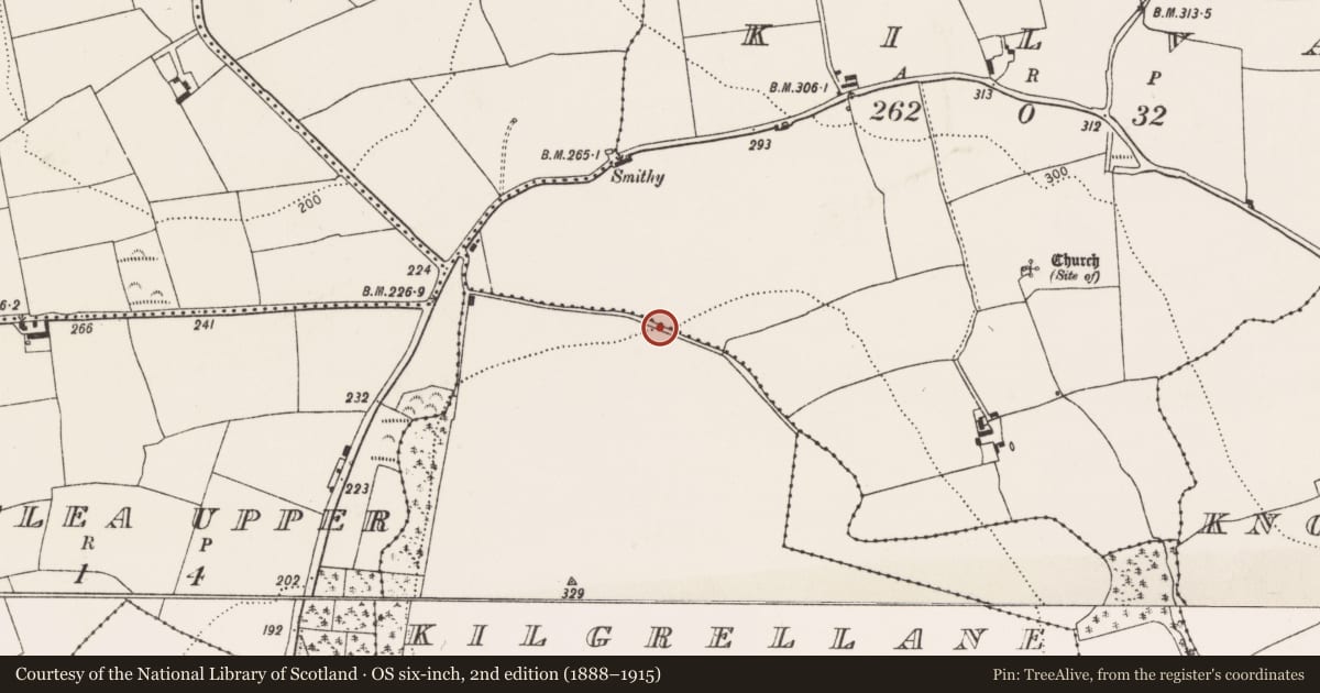 Ordnance Survey six-inch map, 2nd edition (1888–1915) covering the location of Road - road/trackway, Kilgrellane, County Cork, with a pin at the register's coordinates