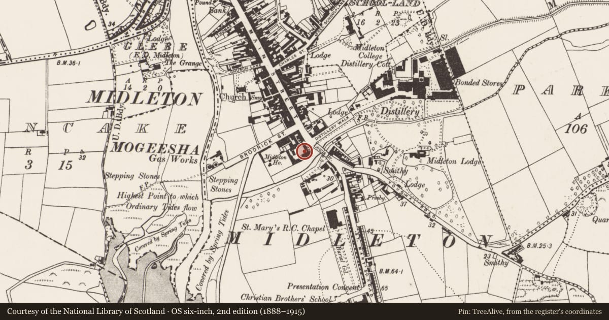 Ordnance Survey six-inch map, 2nd edition (1888–1915) covering the location of Corn store, Townparks (Imokilly By., Middleton Par.), County Cork, with a pin at the register's coordinates