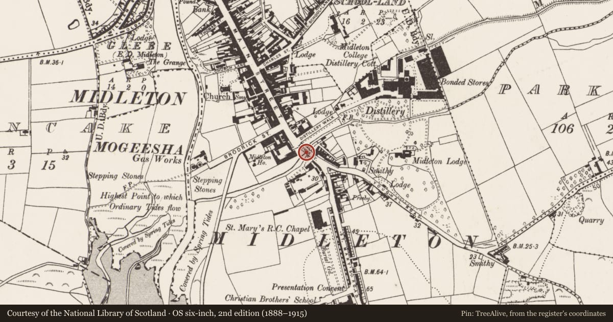 Ordnance Survey six-inch map, 2nd edition (1888–1915) covering the location of Bridge, Townparks (Imokilly By., Middleton Par.), County Cork, with a pin at the register's coordinates