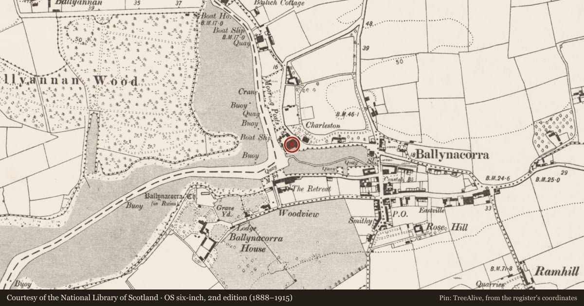Ordnance Survey six-inch map, 2nd edition (1888–1915) covering the location of Maltings, Castleredmond, County Cork, with a pin at the register's coordinates