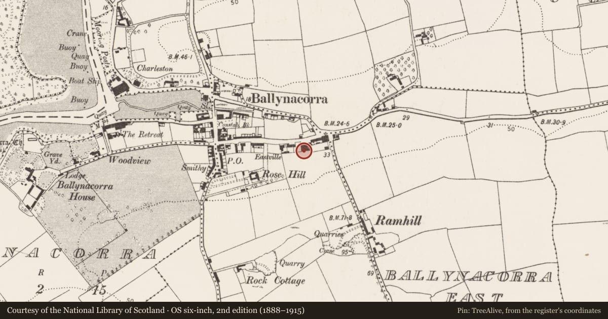 Ordnance Survey six-inch map, 2nd edition (1888–1915) covering the location of Maltings, Ballynacorra West, County Cork, with a pin at the register's coordinates
