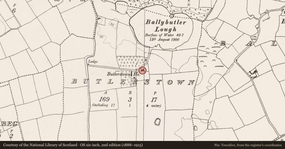 Ordnance Survey six-inch map, 2nd edition (1888–1915) covering the location of Country house, Butlerstown, County Cork, with a pin at the register's coordinates