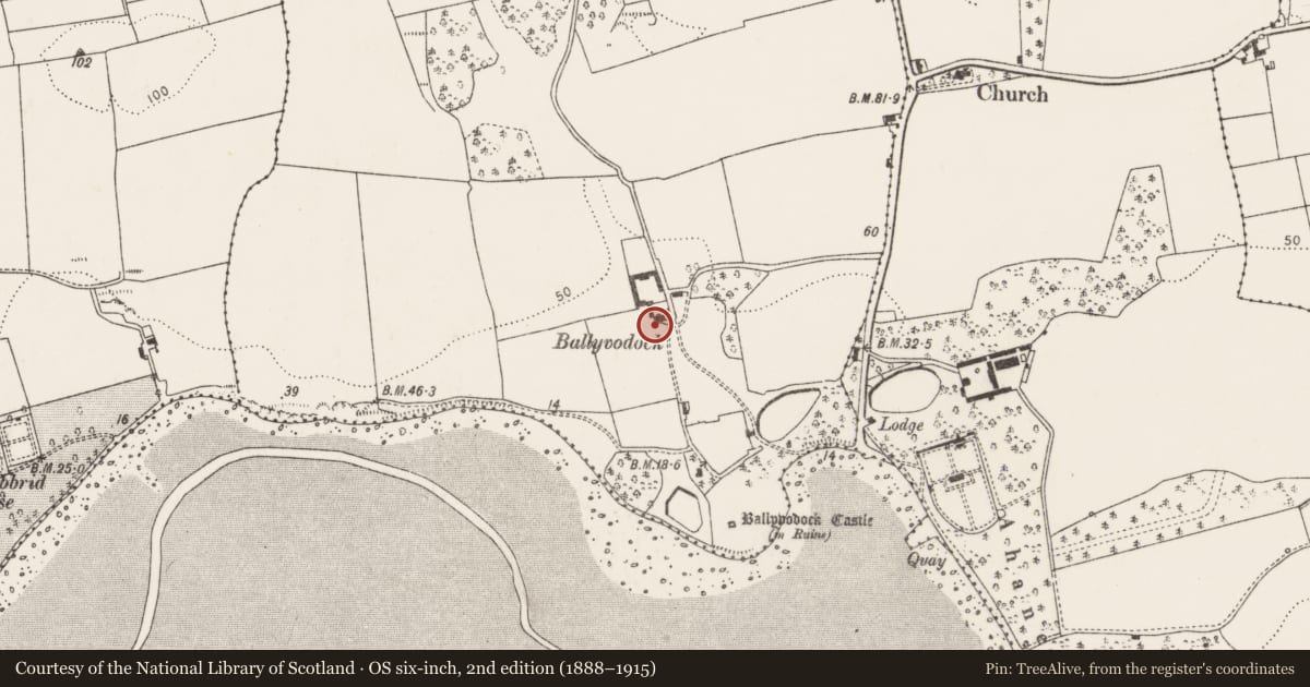 Ordnance Survey six-inch map, 2nd edition (1888–1915) covering the location of Country house, Ballyvodock West, County Cork, with a pin at the register's coordinates