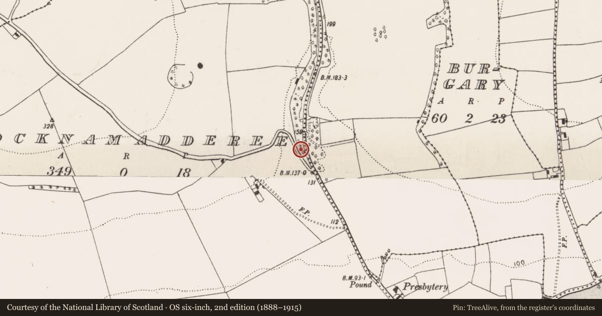 Ordnance Survey six-inch map, 2nd edition (1888–1915) covering the location of Mill - corn, Knocknamadderee, County Cork, with a pin at the register's coordinates