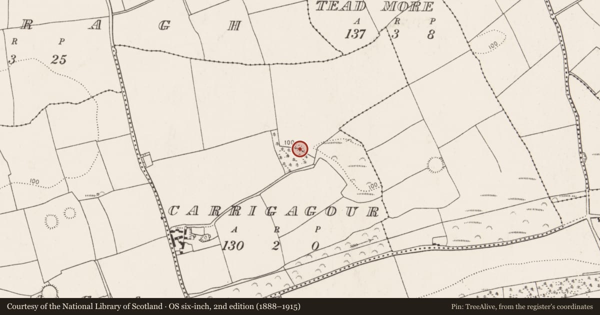 Ordnance Survey six-inch map, 2nd edition (1888–1915) covering the location of Cave, Carrigagour, County Cork, with a pin at the register's coordinates
