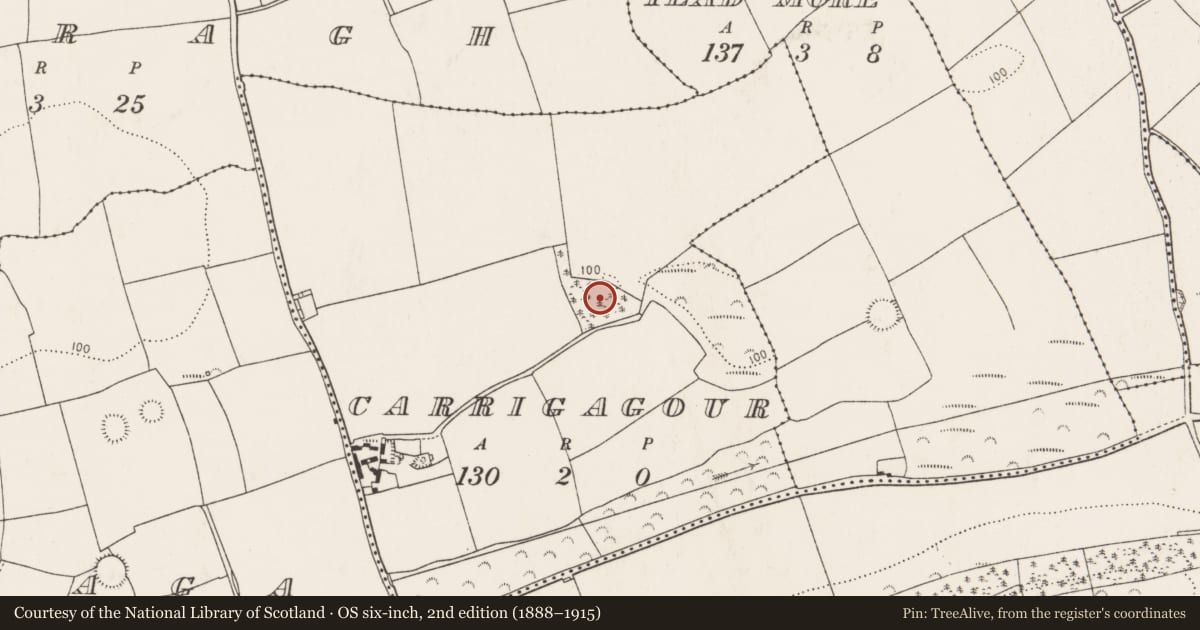 Ordnance Survey six-inch map, 2nd edition (1888–1915) covering the location of Cave, Carrigagour, County Cork, with a pin at the register's coordinates