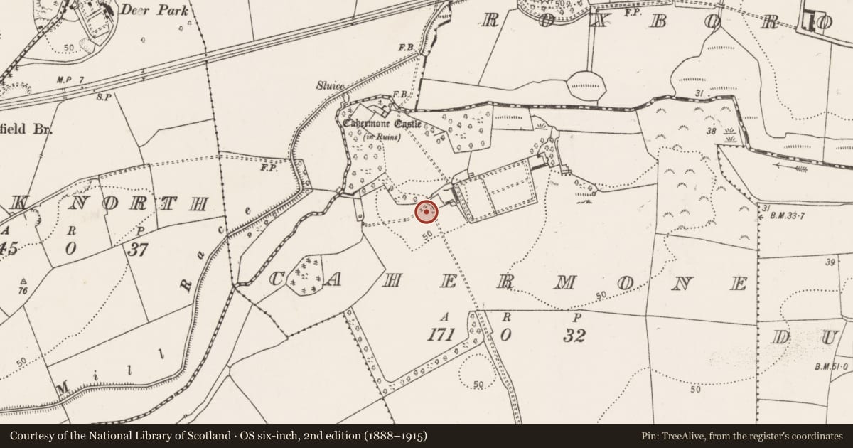 Ordnance Survey six-inch map, 2nd edition (1888–1915) covering the location of Architectural fragment, Cahermone, County Cork, with a pin at the register's coordinates