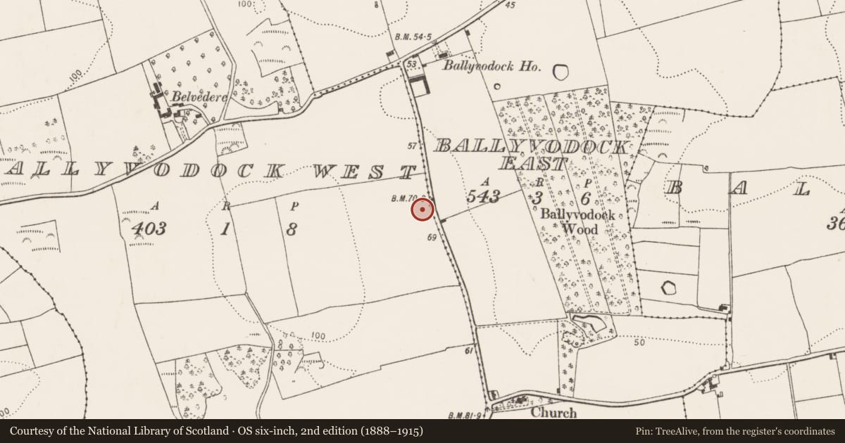 Ordnance Survey six-inch map, 2nd edition (1888–1915) covering the location of Enclosure, Ballyvodock West, County Cork, with a pin at the register's coordinates