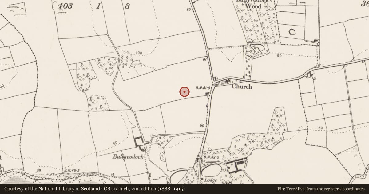 Ordnance Survey six-inch map, 2nd edition (1888–1915) covering the location of Enclosure, Ballyvodock West, County Cork, with a pin at the register's coordinates