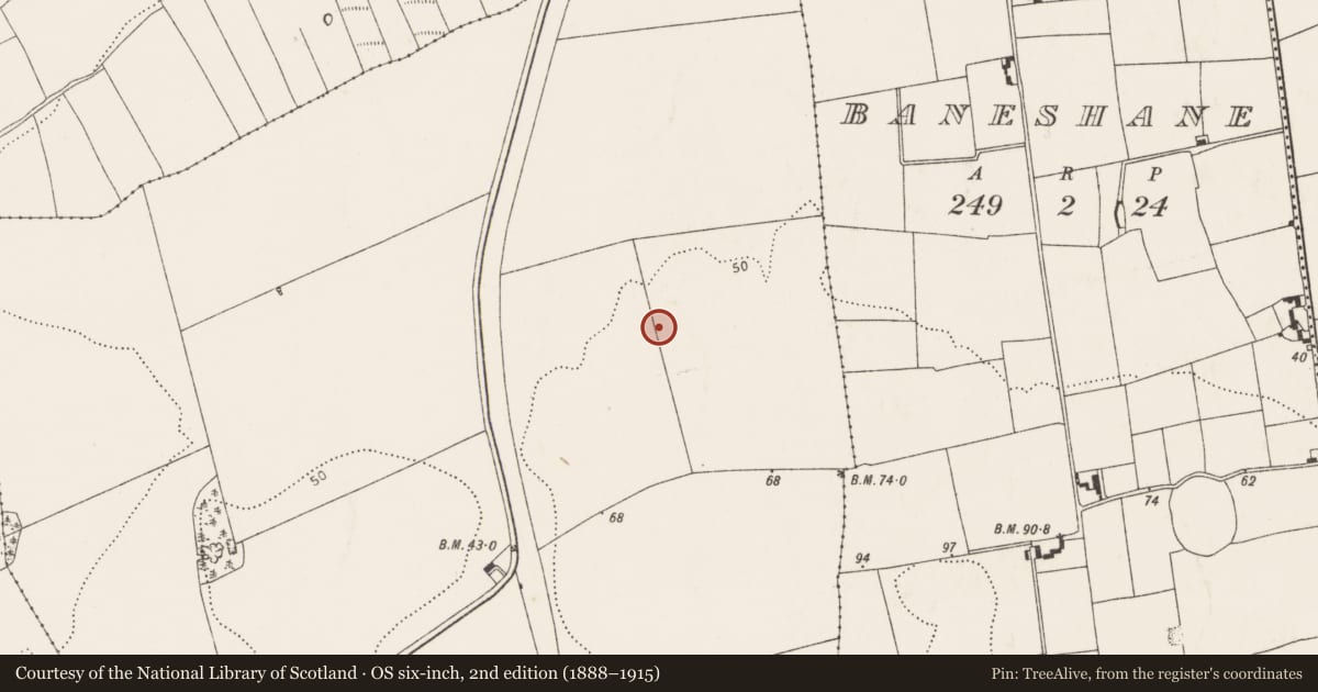 Ordnance Survey six-inch map, 2nd edition (1888–1915) covering the location of Enclosure, Ballyvodock East, County Cork, with a pin at the register's coordinates