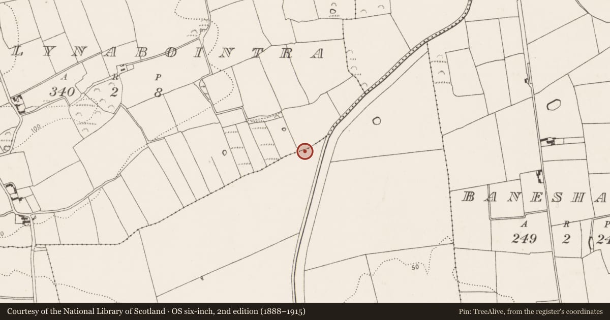 Ordnance Survey six-inch map, 2nd edition (1888–1915) covering the location of Linear earthwork, County Cork, with a pin at the register's coordinates