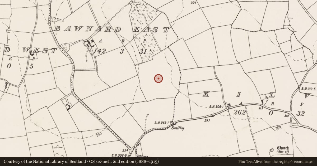 Ordnance Survey six-inch map, 2nd edition (1888–1915) covering the location of Fulacht fia, Bawnard East, County Cork, with a pin at the register's coordinates