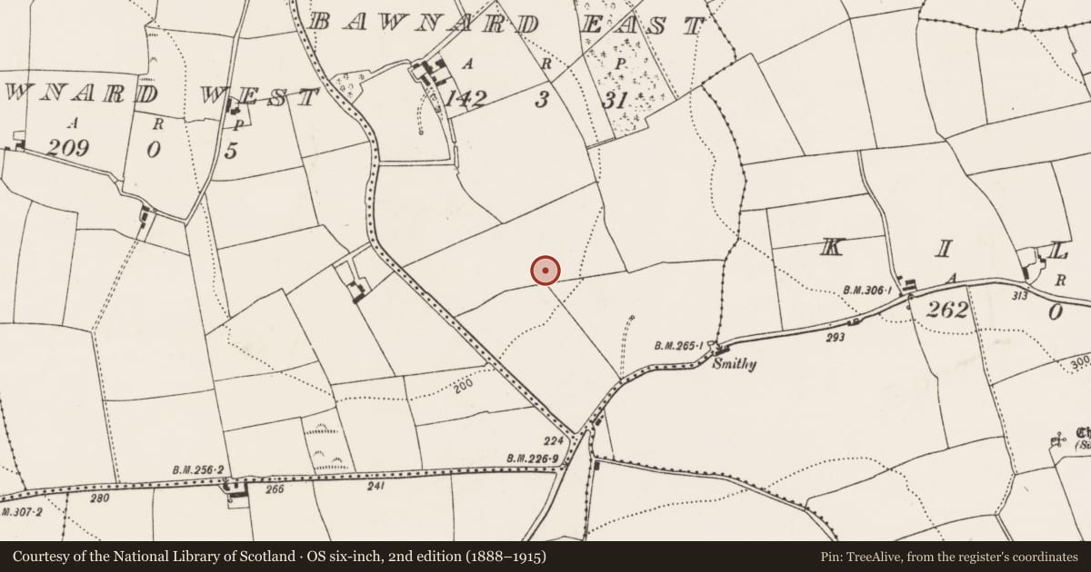 Ordnance Survey six-inch map, 2nd edition (1888–1915) covering the location of Fulacht fia, Bawnard East, County Cork, with a pin at the register's coordinates