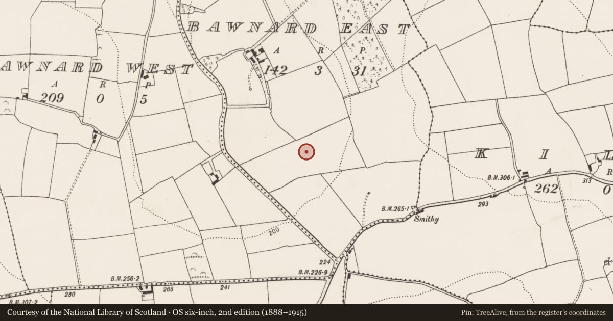 Ordnance Survey six-inch map, 2nd edition (1888–1915) covering the location of Fulacht fia, Bawnard East, County Cork, with a pin at the register's coordinates