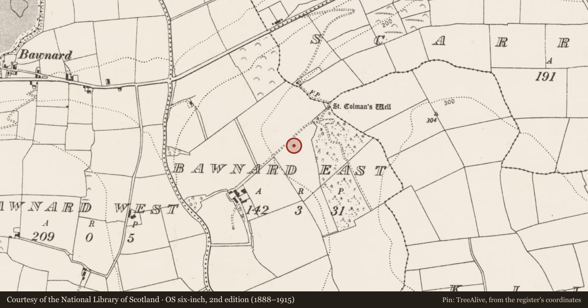 Ordnance Survey six-inch map, 2nd edition (1888–1915) covering the location of Fulacht fia, Bawnard East, County Cork, with a pin at the register's coordinates