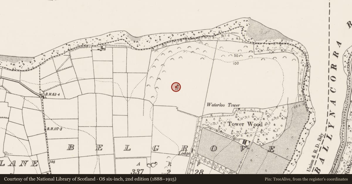Ordnance Survey six-inch map, 2nd edition (1888–1915) covering the location of Barrow - mound barrow, Belgrove, County Cork, with a pin at the register's coordinates