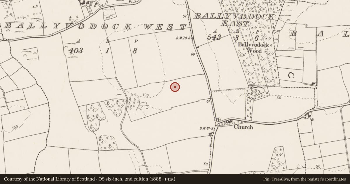 Ordnance Survey six-inch map, 2nd edition (1888–1915) covering the location of Field system, Ballyvodock West, County Cork, with a pin at the register's coordinates