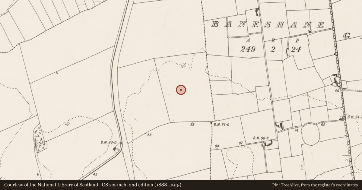 Ordnance Survey six-inch map, 2nd edition (1888–1915) covering the location of Field system, Ballyvodock East, County Cork, with a pin at the register's coordinates