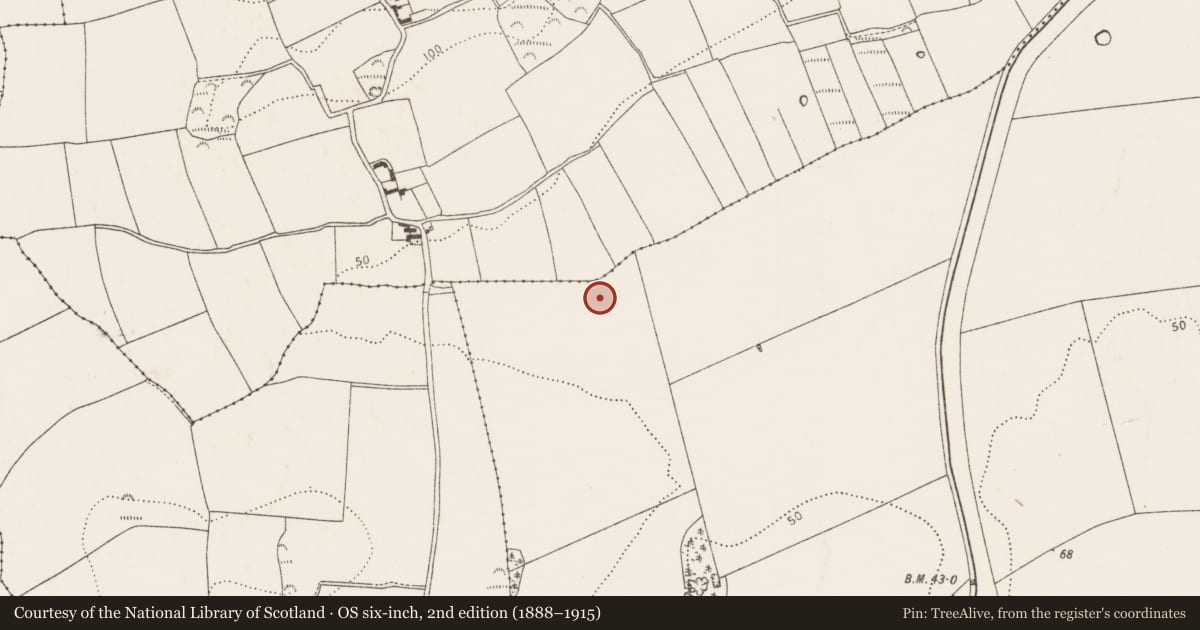 Ordnance Survey six-inch map, 2nd edition (1888–1915) covering the location of Fulacht fia, Ballyvodock East, County Cork, with a pin at the register's coordinates