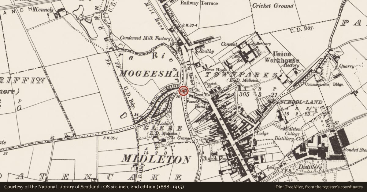 Ordnance Survey six-inch map, 2nd edition (1888–1915) covering the location of Bridge, Townparks (Imokilly By., Middleton Par.), County Cork, with a pin at the register's coordinates