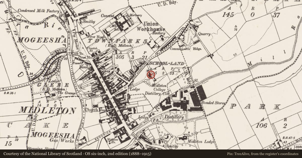 Ordnance Survey six-inch map, 2nd edition (1888–1915) covering the location of School, School-Land, County Cork, with a pin at the register's coordinates