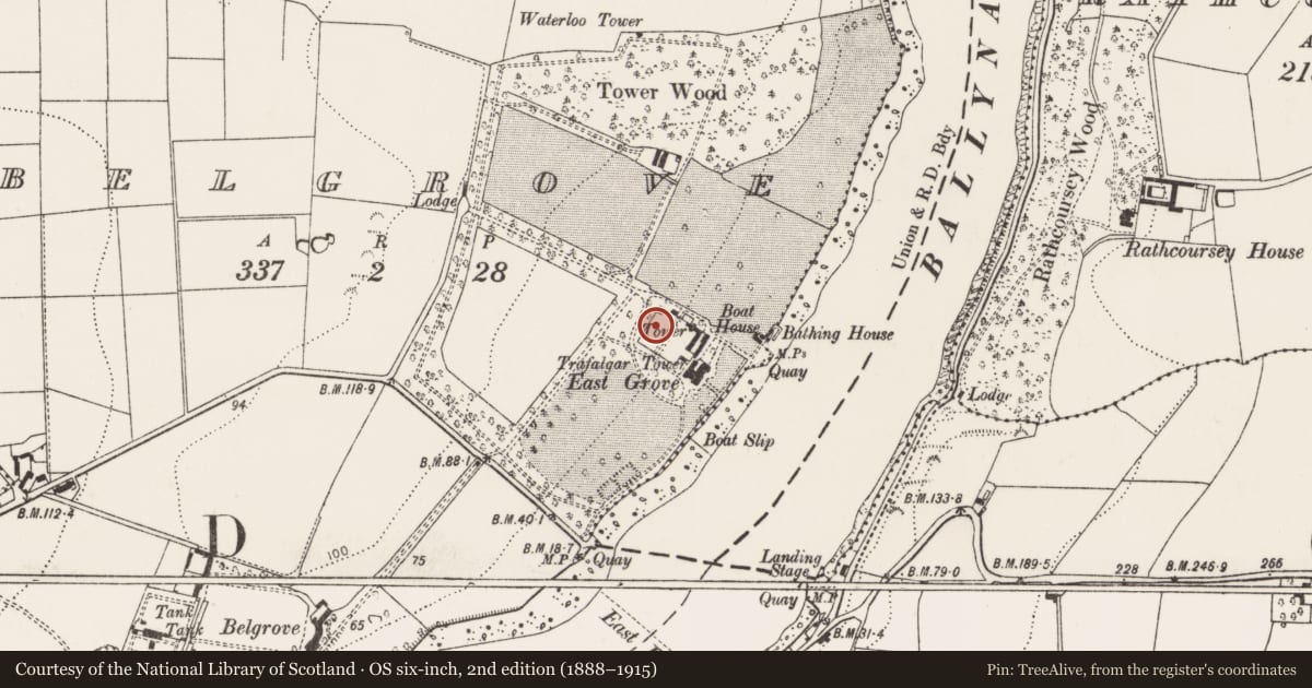 Ordnance Survey six-inch map, 2nd edition (1888–1915) covering the location of Designed landscape - belvedere, Belgrove, County Cork, with a pin at the register's coordinates