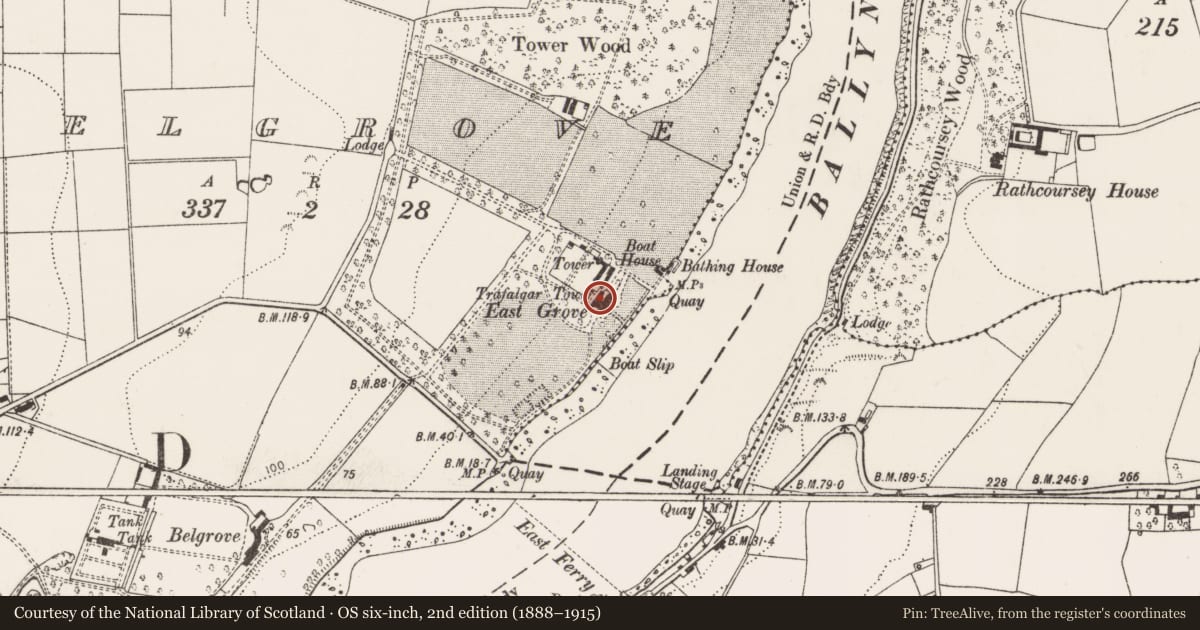 Ordnance Survey six-inch map, 2nd edition (1888–1915) covering the location of Designed landscape - belvedere, Belgrove, County Cork, with a pin at the register's coordinates