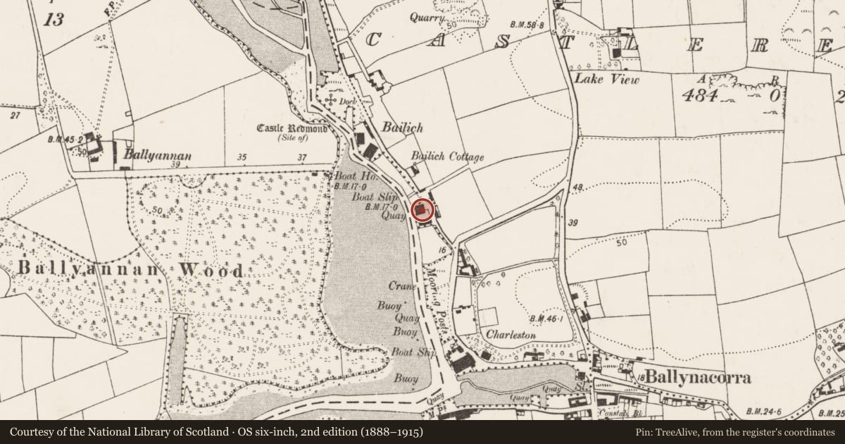 Ordnance Survey six-inch map, 2nd edition (1888–1915) covering the location of Warehouse, Castleredmond, County Cork, with a pin at the register's coordinates
