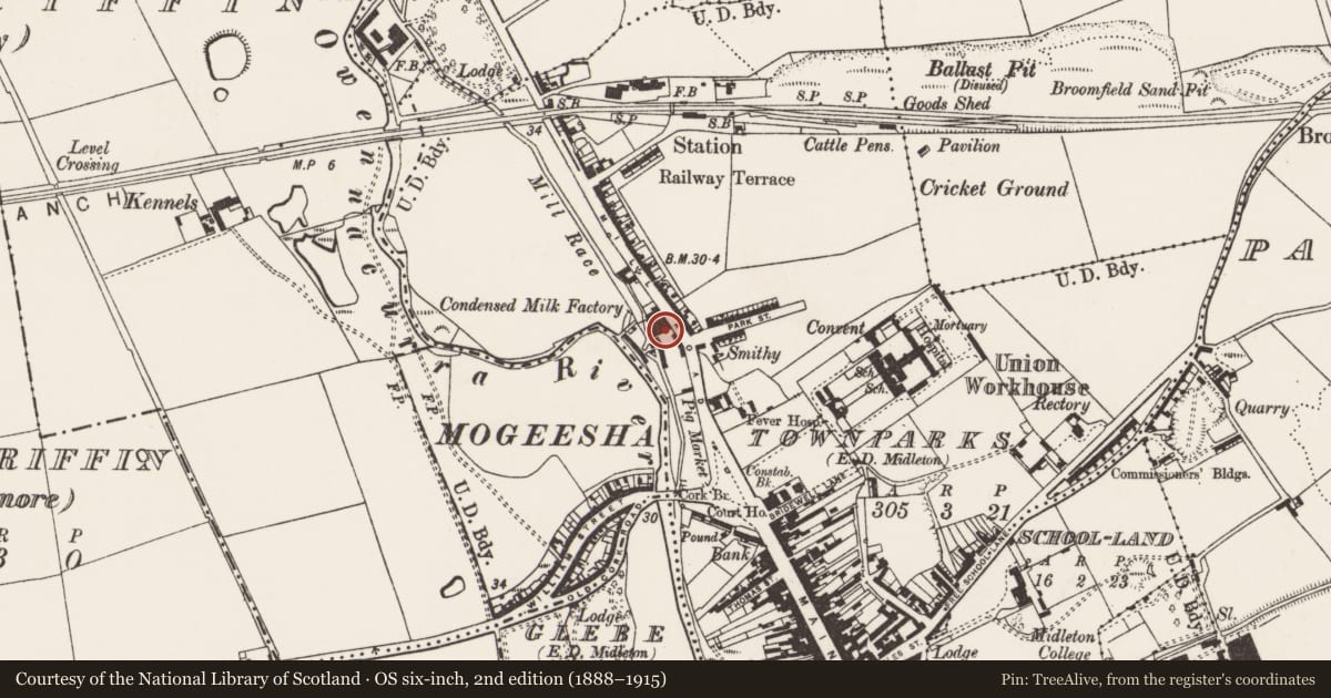 Ordnance Survey six-inch map, 2nd edition (1888–1915) covering the location of Mill - corn, Townparks (Imokilly By., Middleton Par.), County Cork, with a pin at the register's coordinates