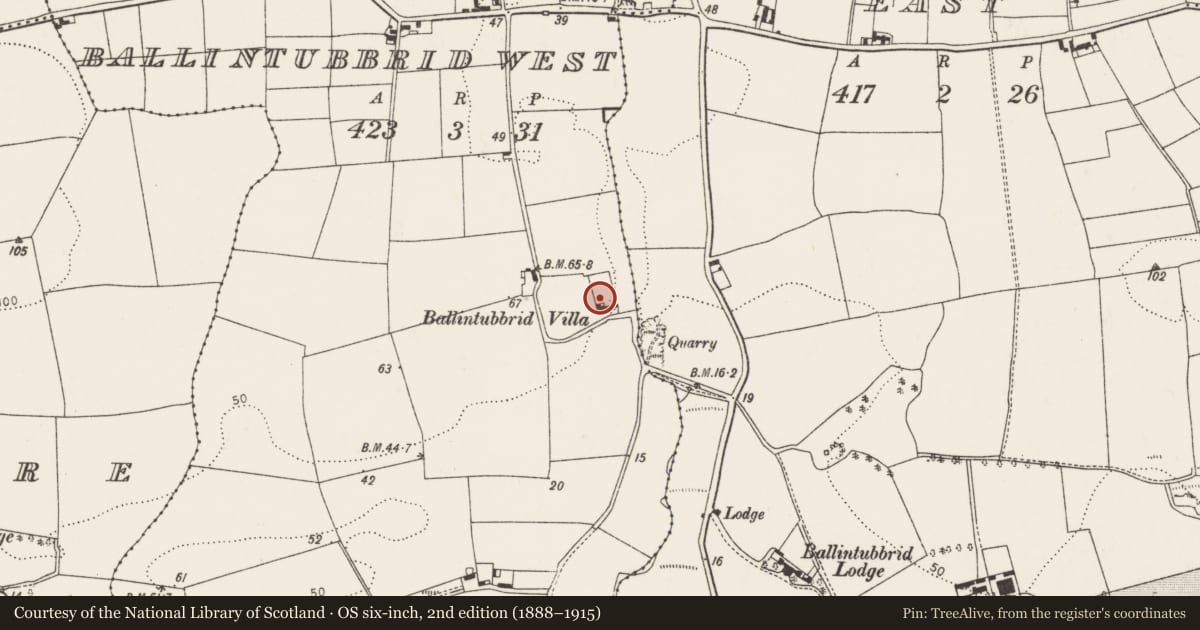 Ordnance Survey six-inch map, 2nd edition (1888–1915) covering the location of Bee-boles, Ballintubbrid West, County Cork, with a pin at the register's coordinates