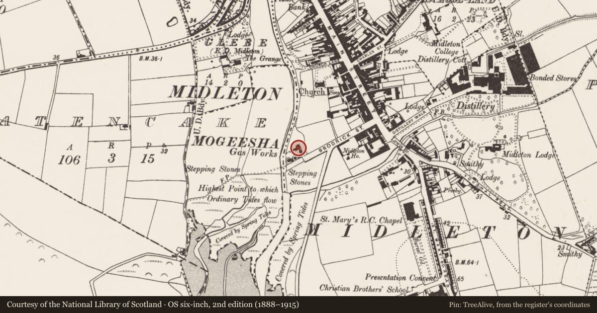 Ordnance Survey six-inch map, 2nd edition (1888–1915) covering the location of Gasworks, Townparks (Imokilly By., Middleton Par.), County Cork, with a pin at the register's coordinates