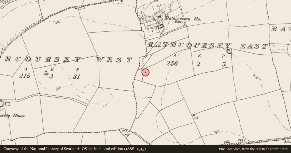 Ordnance Survey six-inch map, 2nd edition (1888–1915) covering the location of Burnt mound, Rathcoursey East, County Cork, with a pin at the register's coordinates