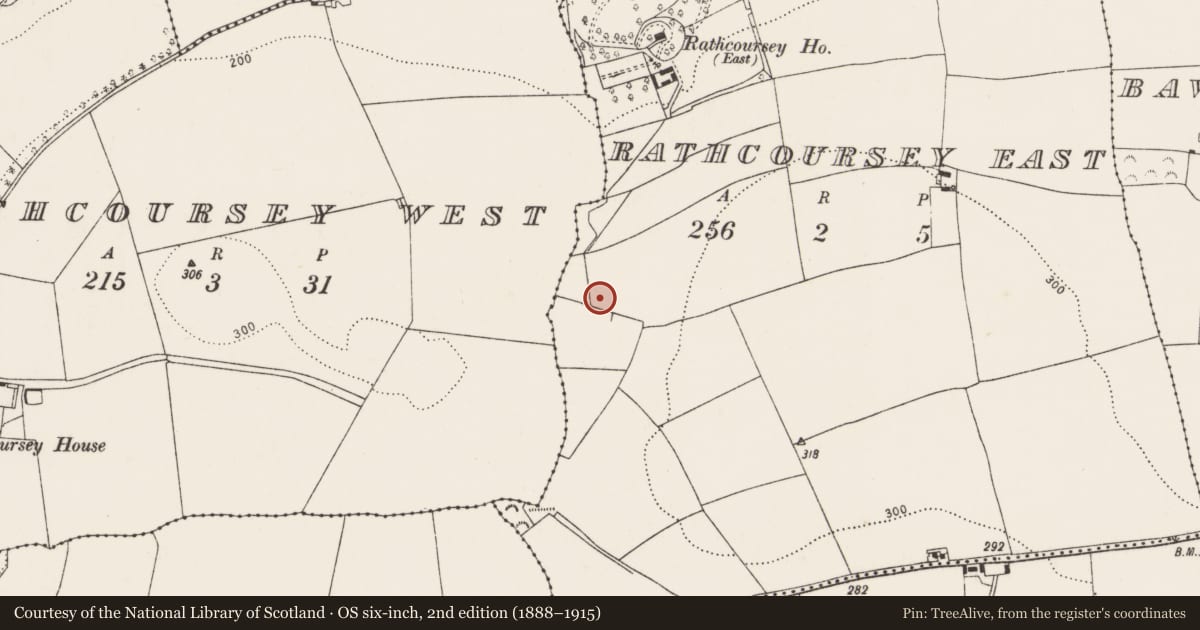 Ordnance Survey six-inch map, 2nd edition (1888–1915) covering the location of Burnt mound, Rathcoursey East, County Cork, with a pin at the register's coordinates