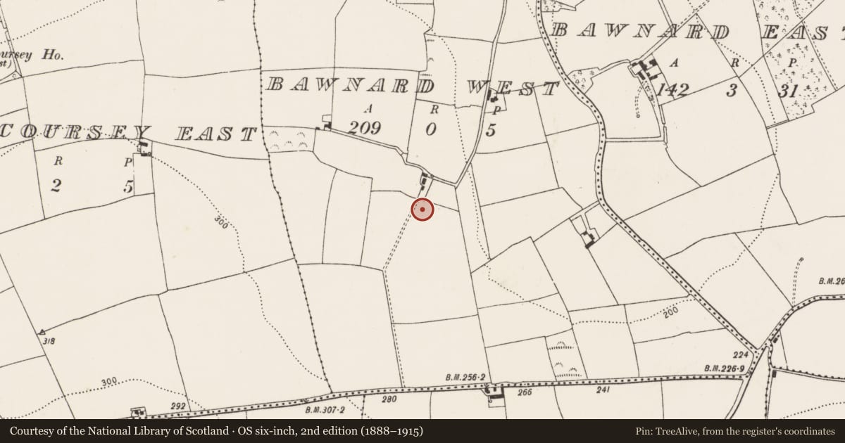 Ordnance Survey six-inch map, 2nd edition (1888–1915) covering the location of Burnt mound, Bawnard West, County Cork, with a pin at the register's coordinates