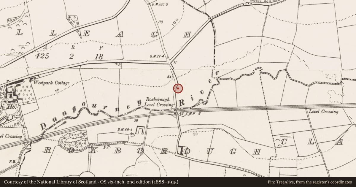 Ordnance Survey six-inch map, 2nd edition (1888–1915) covering the location of Souterrain, Killeagh, County Cork, with a pin at the register's coordinates