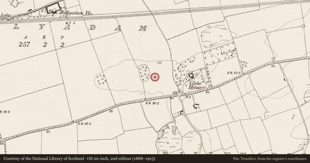 Ordnance Survey six-inch map, 2nd edition (1888–1915) covering the location of Excavation - miscellaneous, Ballyadam, County Cork, with a pin at the register's coordinates